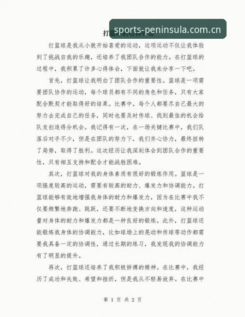 资深用户分享：半岛体育平台介绍与我的实战使用心得